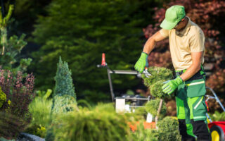 Gartenarbeiten im Herbst